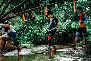 BIB: 
                            <button type="button" onclick="openModal(25268828)" class="btn btn-primary btn-sm float-right btn-popup" data-toggle="modal" data-target=".modal-high-quality">
                        <i class="fas fa-shopping-cart"></i> Add to Cart
                    </button>
                                            <button type="button" onclick="isThisMe(25268828, true)" class="btn btn-success btn-sm float-right btn-popup btn-isme hidden" data-toggle="tooltip" data-placement="bottom" title="นี่คือรูปของคุณใช่ไหม คลิกที่นี่เพื่อเอาเข้าอัลบั้ม">
                        <i class="fas fa-plus"></i> Add to album
                    </button>
                    <button type="button" onclick="isThisMe(25268828, false)" class="btn btn-warning btn-sm float-right btn-popup btn-isnotme hidden">
                        <i class="fas fa-ban"></i> Remove from album
                    </button>